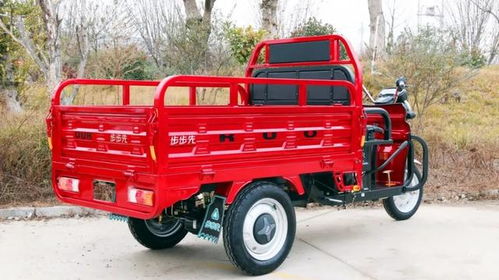 宗申戰(zhàn)虎 金彭祥龍 淮海力霸這些家用電動(dòng)三輪車(chē),你更看好誰(shuí)