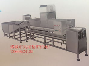 中小型洗蛋機(jī) 諸城市昊星精密機(jī)械廠